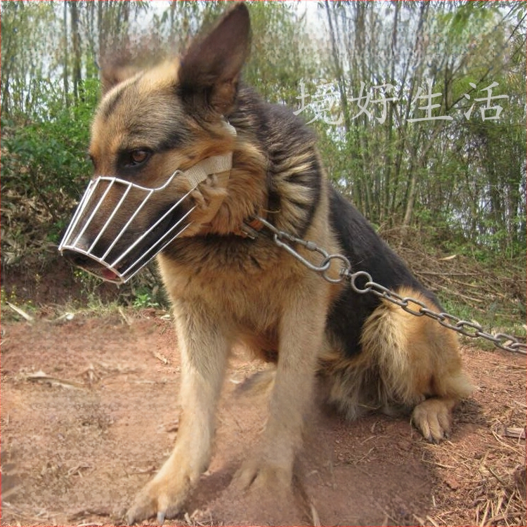 Μάσκα σκύλου από ανοξείδωτο ατσάλι με αντιδαγκωτική κατασκευή και δυνατότητα πόσης νερού