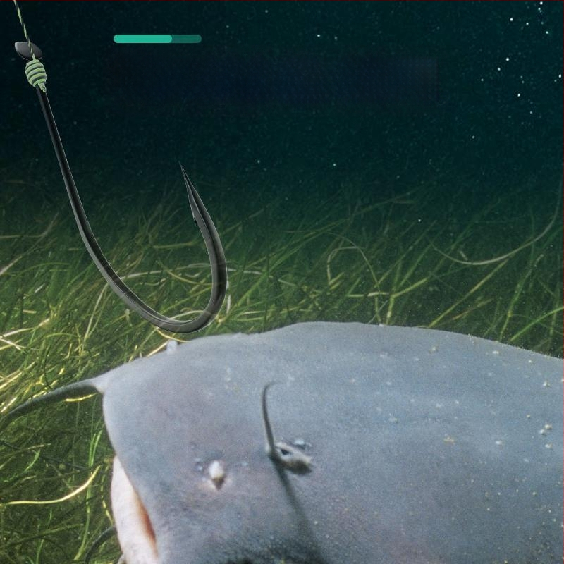 Somas āķu komplekts ar garu rokturi un zobainiem āķiem lielām zivīm