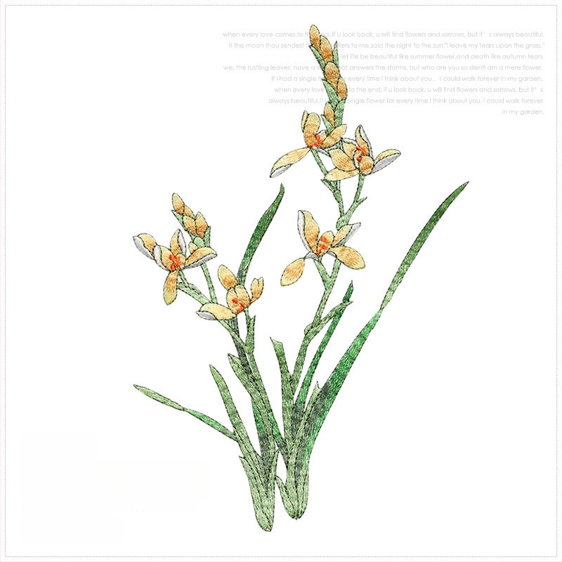 Εθνο-στυλ appliqué με ορχιδέα για ρούχα, rayon, Rainbow embroidery, με αυτοκόλλητο πίσω για σιδέρωμα