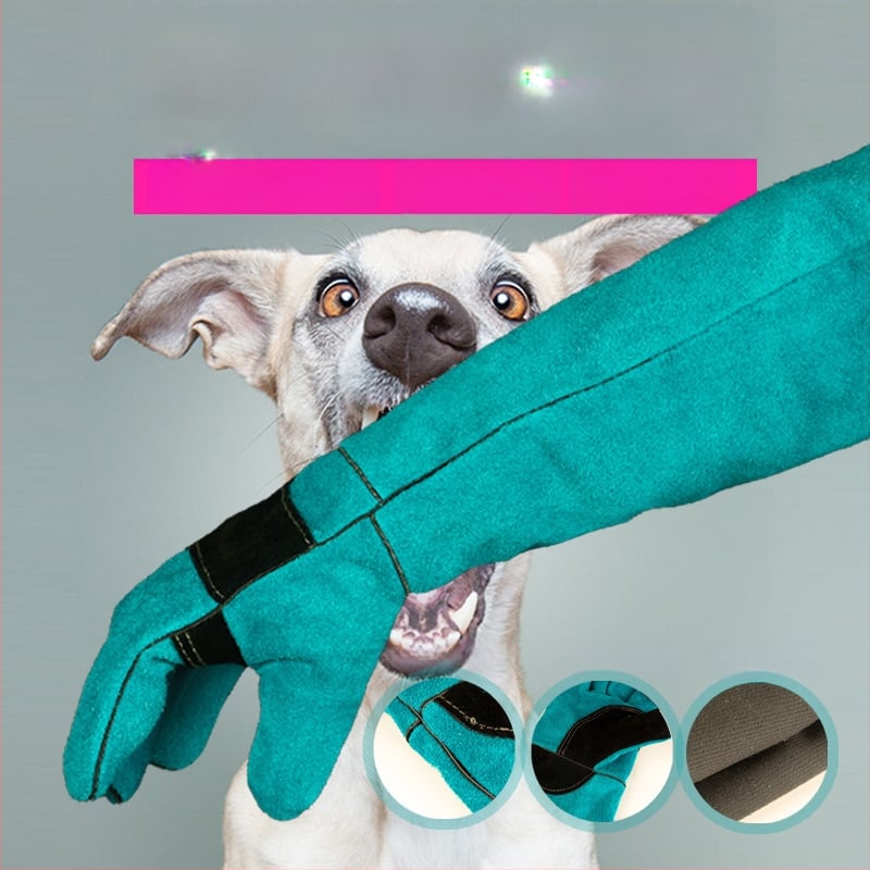 Da Heng ādas cimdi pret kodumu mācībām mājdzīvniekiem, gari aizsargājošie cimdi