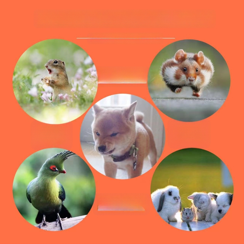 Bērnu darba cimdi ar lateksu un neilona iekšpusi – UV aizsardzība, ūdensnecaurlaidīgas, neslīd, griezes pretestība, perforācijas pretestība dārzam