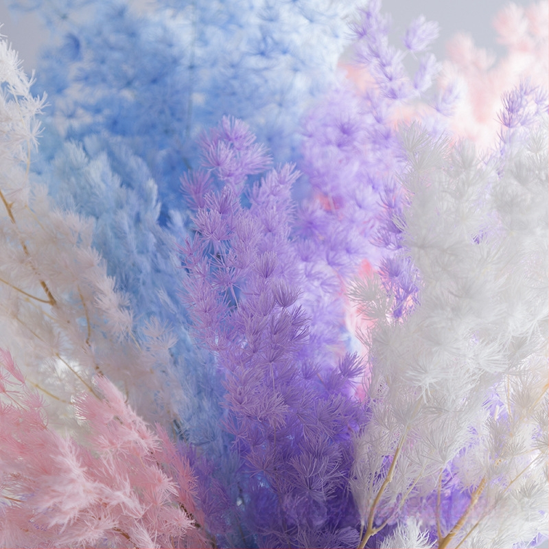 Treasure aksesuāri saglabātiem ziediem Penglai Pine