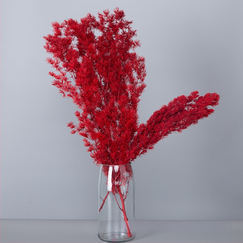 Treasure aksesuāri saglabātiem ziediem Penglai Pine