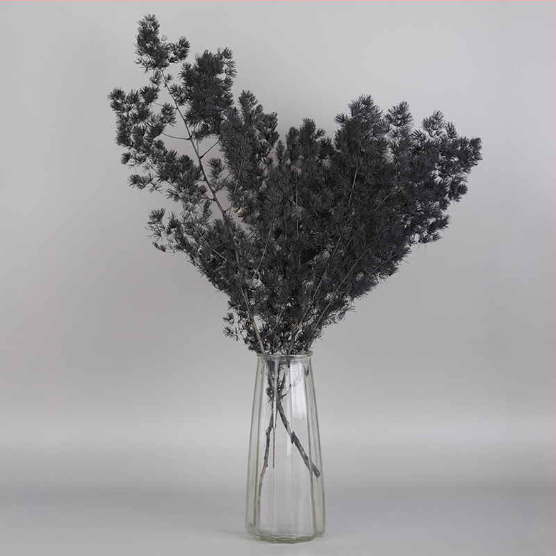 Treasure aksesuāri saglabātiem ziediem Penglai Pine