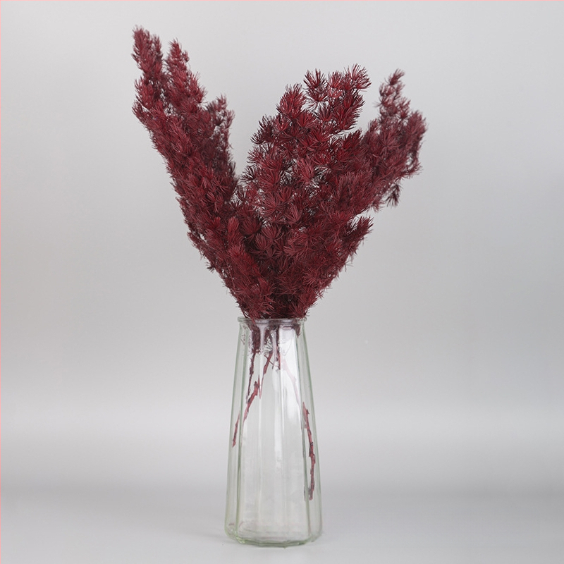 Treasure aksesuāri saglabātiem ziediem Penglai Pine