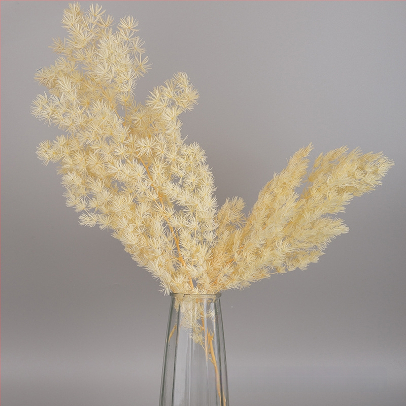 Treasure aksesuāri saglabātiem ziediem Penglai Pine