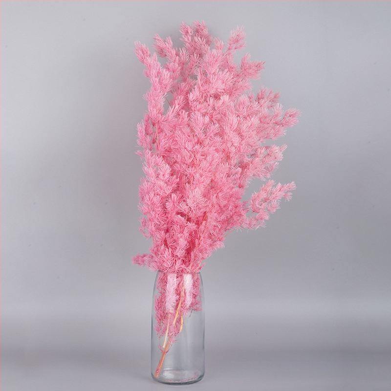 Treasure aksesuāri saglabātiem ziediem Penglai Pine