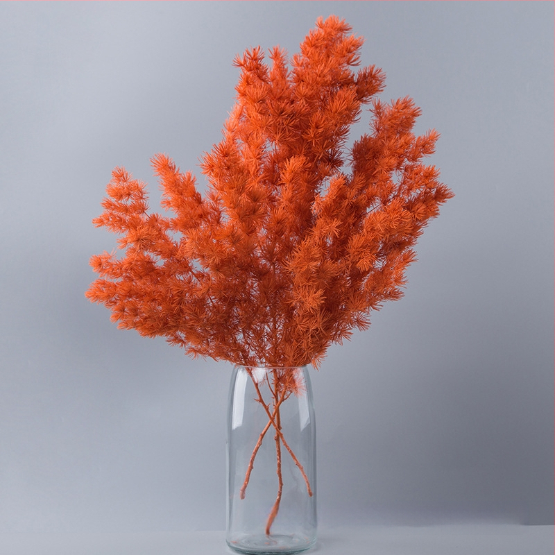 Treasure aksesuāri saglabātiem ziediem Penglai Pine