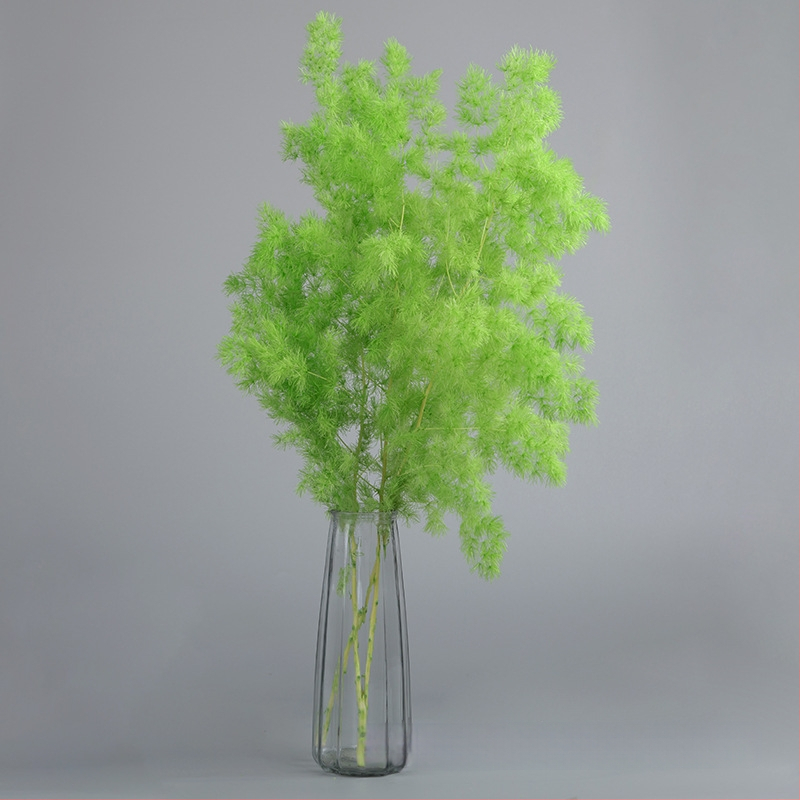 Treasure aksesuāri saglabātiem ziediem Penglai Pine