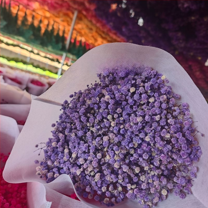 Starry Sky saglabāto ziedu pušķis, 400–500 g