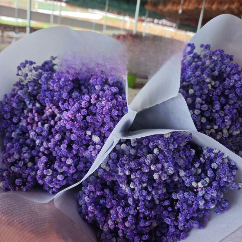 Starry Sky saglabāto ziedu pušķis, 400–500 g