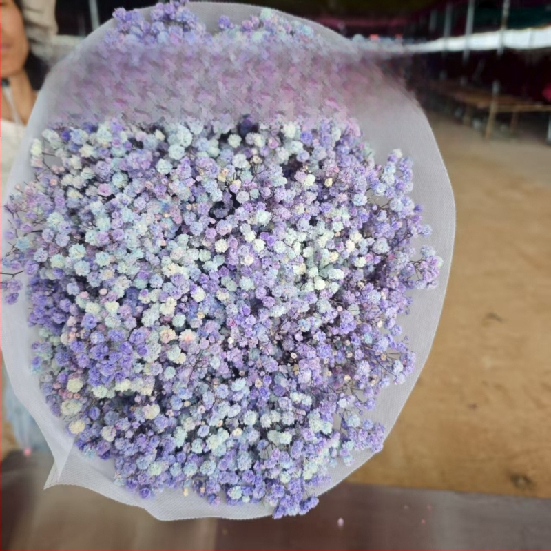 Starry Sky saglabāto ziedu pušķis, 400–500 g