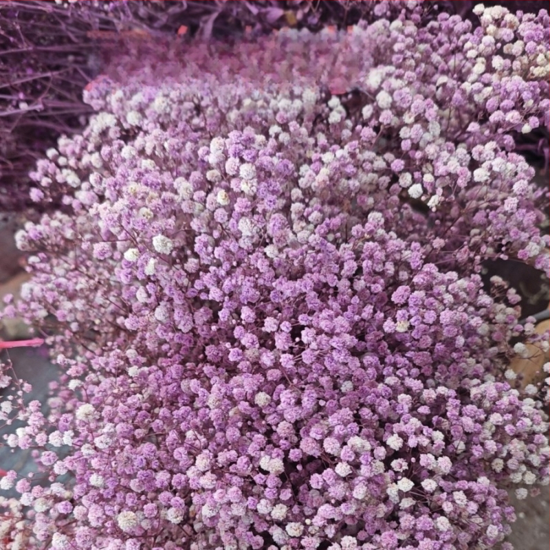 Starry Sky saglabāto ziedu pušķis, 400–500 g