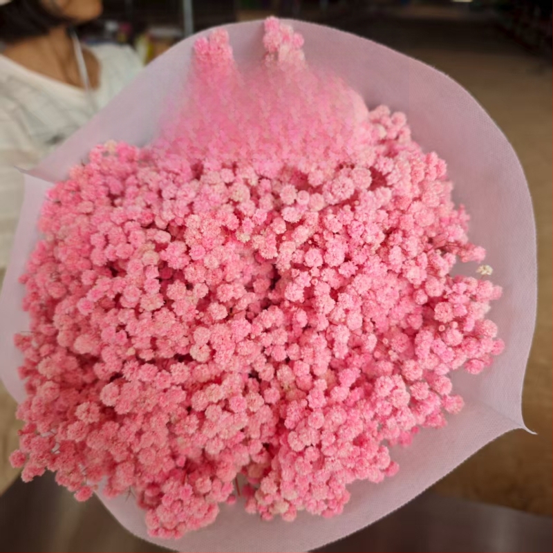 Starry Sky saglabāto ziedu pušķis, 400–500 g