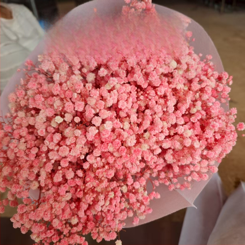 Starry Sky saglabāto ziedu pušķis, 400–500 g