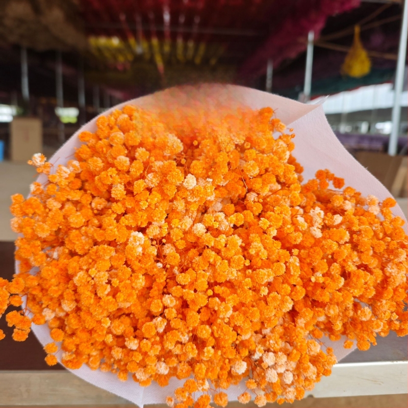 Starry Sky saglabāto ziedu pušķis, 400–500 g