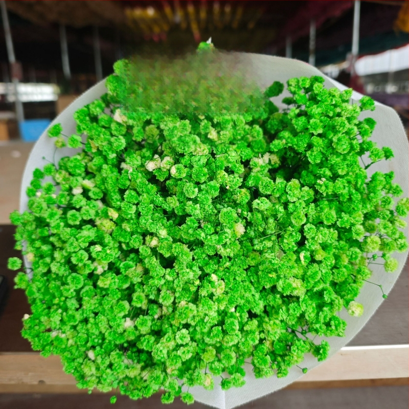 Starry Sky saglabāto ziedu pušķis, 400–500 g