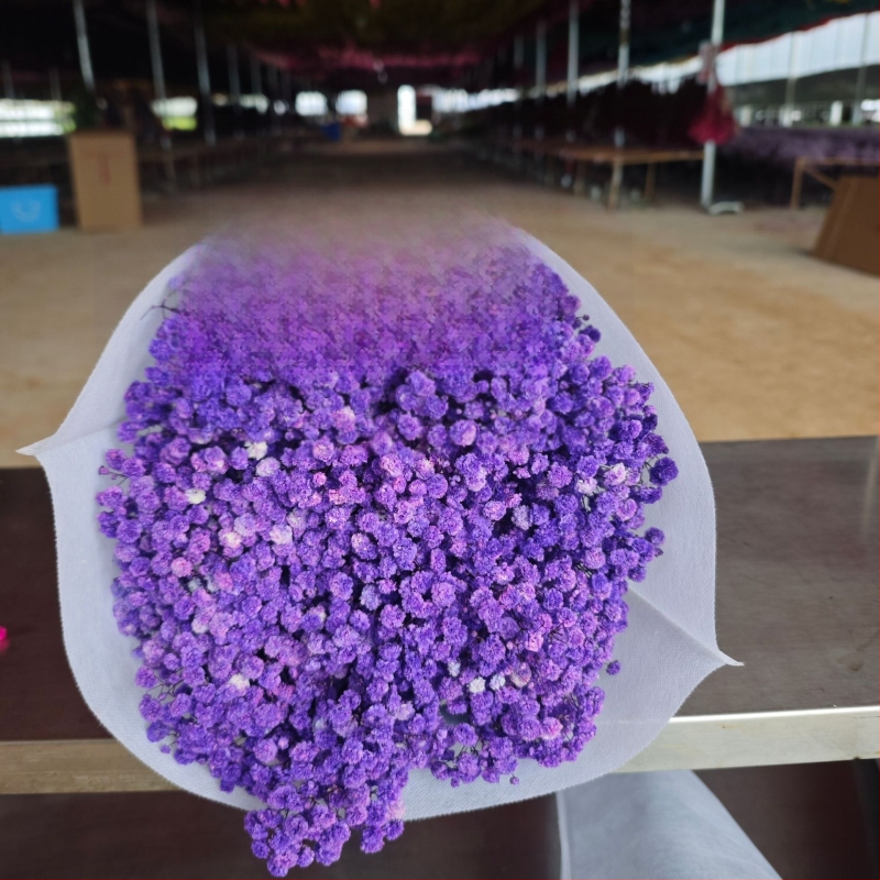 Starry Sky saglabāto ziedu pušķis, 400–500 g