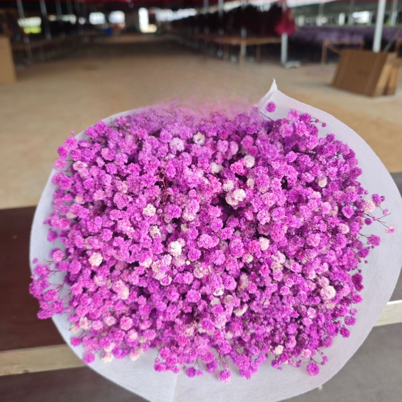 Starry Sky saglabāto ziedu pušķis, 400–500 g