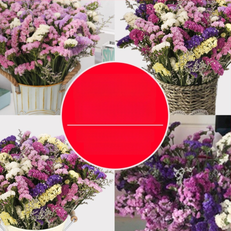 Sauss ziedu pušķis dzīvojamai istabai dekorēšanai; Materiāls: zīda ziedi; Veids: narcis; Zīmols: Source Factory