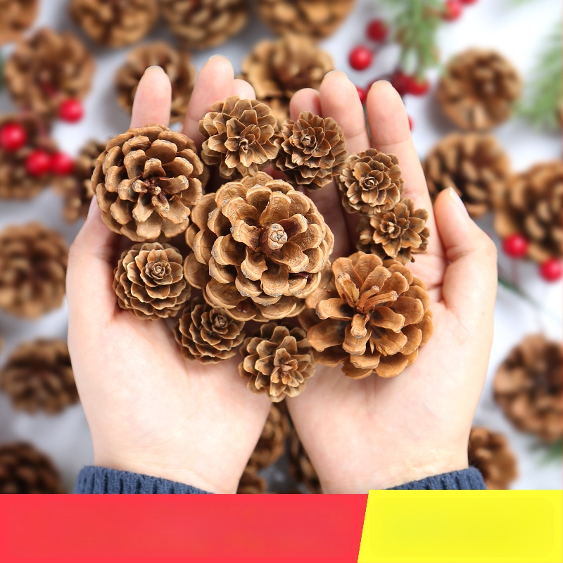 Kuivatatud lillede kott, Tong Meng kaubamärk; Materjal: 31021386361; Sorte: 31021386362; Pakend: kott