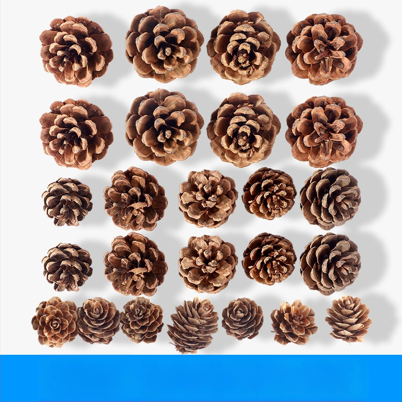 Kuivatatud lillede kott, Tong Meng kaubamärk; Materjal: 31021386361; Sorte: 31021386362; Pakend: kott