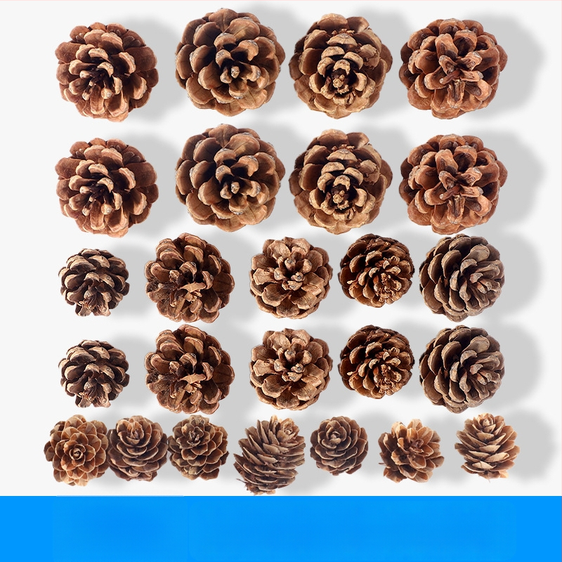 Kuivatatud lillede kott, Tong Meng kaubamärk; Materjal: 31021386361; Sorte: 31021386362; Pakend: kott