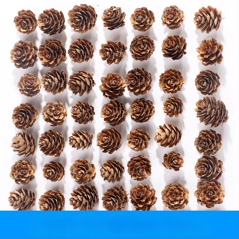 Kuivatatud lillede kott, Tong Meng kaubamärk; Materjal: 31021386361; Sorte: 31021386362; Pakend: kott