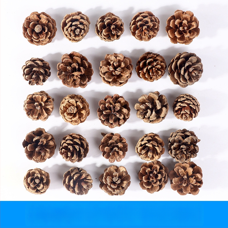 Kuivatatud lillede kott, Tong Meng kaubamärk; Materjal: 31021386361; Sorte: 31021386362; Pakend: kott