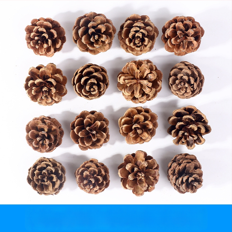 Kuivatatud lillede kott, Tong Meng kaubamärk; Materjal: 31021386361; Sorte: 31021386362; Pakend: kott