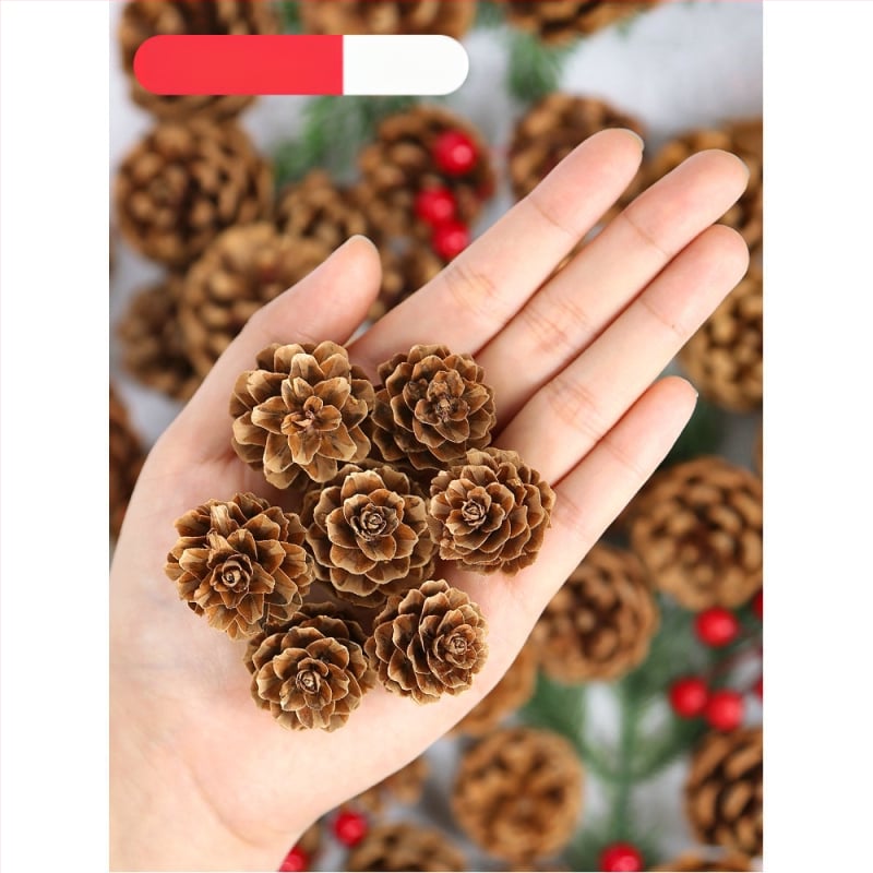 Kuivatatud lillede kott, Tong Meng kaubamärk; Materjal: 31021386361; Sorte: 31021386362; Pakend: kott