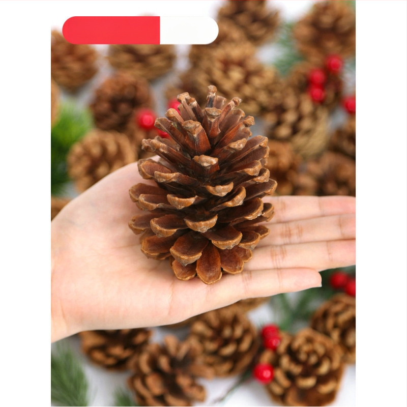 Kuivatatud lillede kott, Tong Meng kaubamärk; Materjal: 31021386361; Sorte: 31021386362; Pakend: kott