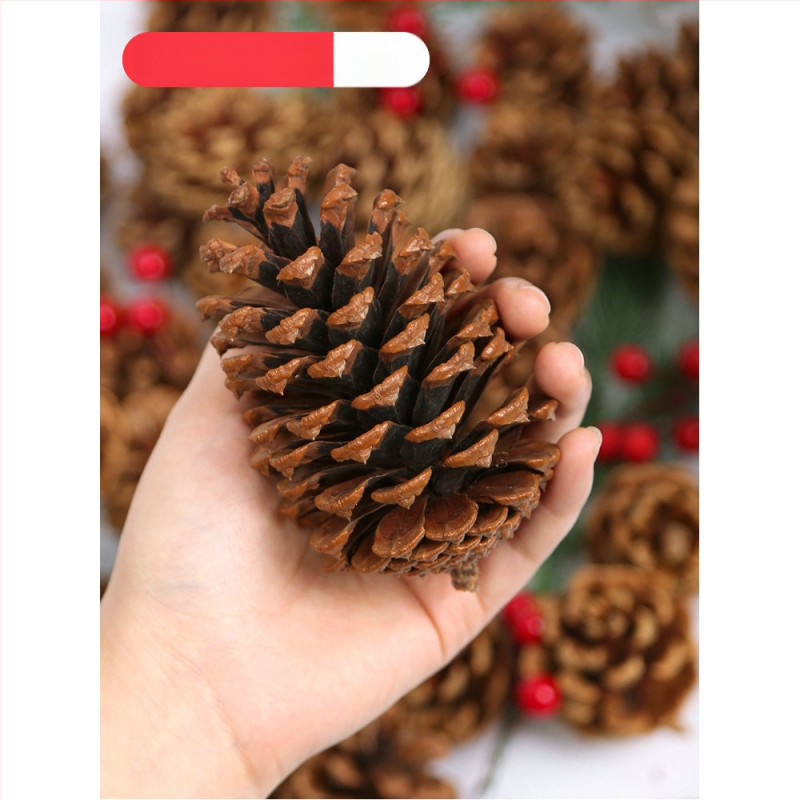 Kuivatatud lillede kott, Tong Meng kaubamärk; Materjal: 31021386361; Sorte: 31021386362; Pakend: kott