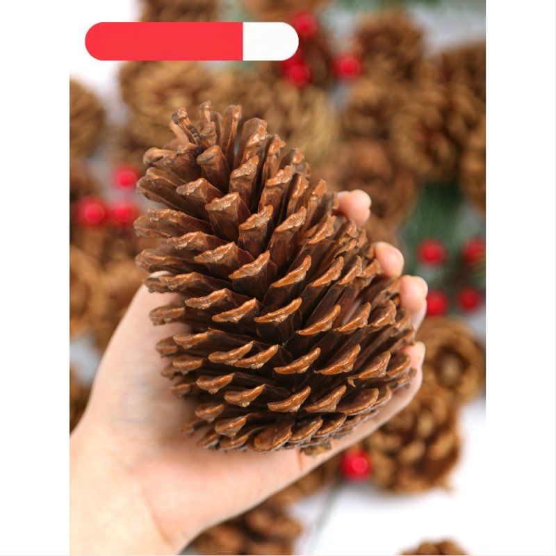 Kuivatatud lillede kott, Tong Meng kaubamärk; Materjal: 31021386361; Sorte: 31021386362; Pakend: kott