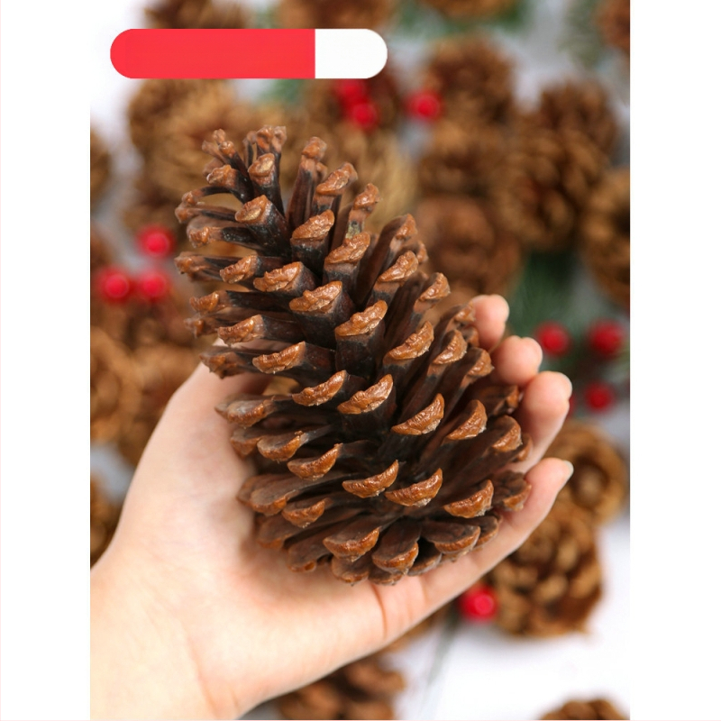 Kuivatatud lillede kott, Tong Meng kaubamärk; Materjal: 31021386361; Sorte: 31021386362; Pakend: kott