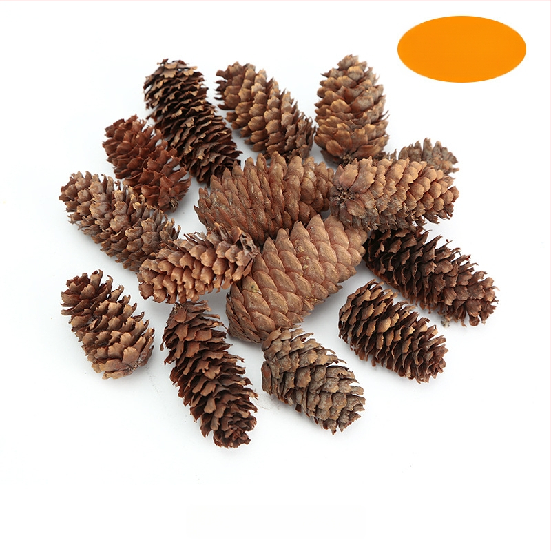 Kuivatatud lillede kott, Tong Meng kaubamärk; Materjal: 31021386361; Sorte: 31021386362; Pakend: kott