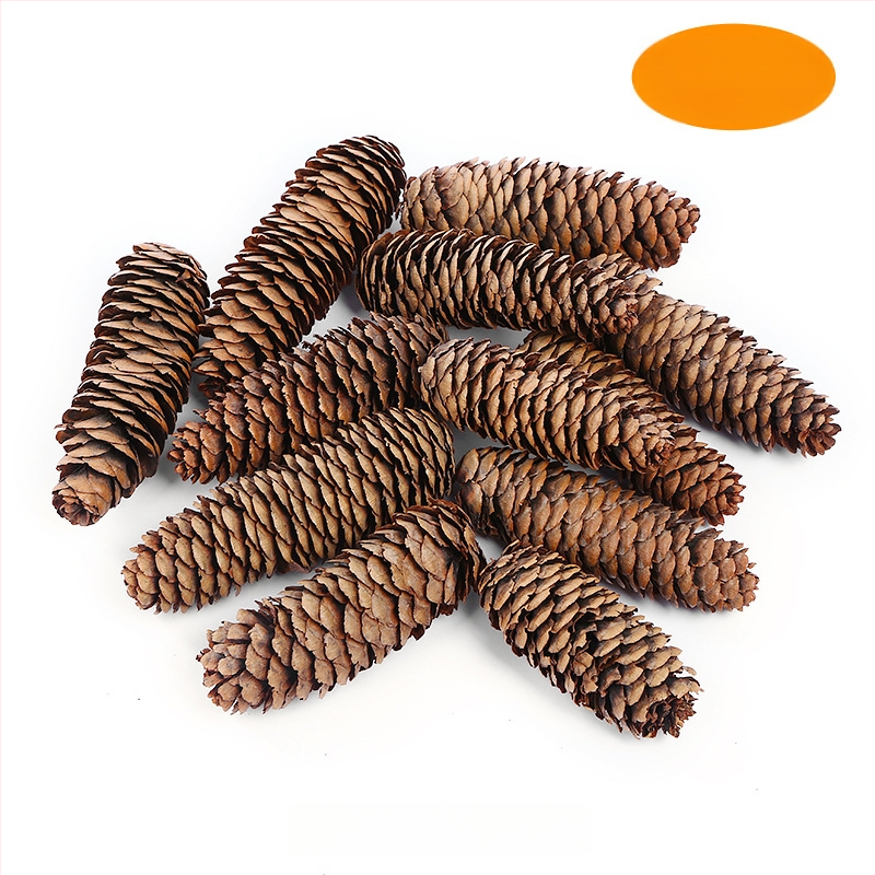 Kuivatatud lillede kott, Tong Meng kaubamärk; Materjal: 31021386361; Sorte: 31021386362; Pakend: kott