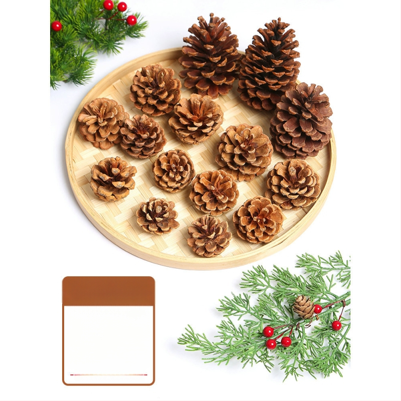 Kuivatatud lillede kott, Tong Meng kaubamärk; Materjal: 31021386361; Sorte: 31021386362; Pakend: kott