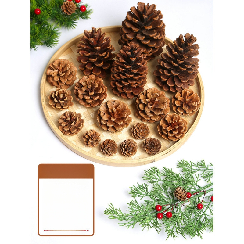 Kuivatatud lillede kott, Tong Meng kaubamärk; Materjal: 31021386361; Sorte: 31021386362; Pakend: kott