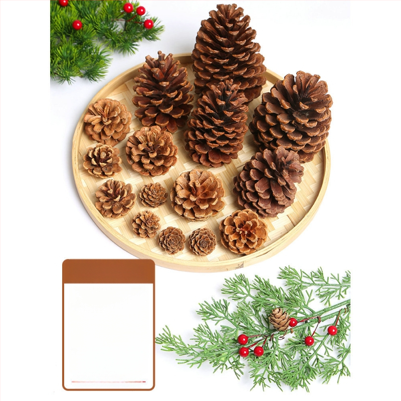 Kuivatatud lillede kott, Tong Meng kaubamärk; Materjal: 31021386361; Sorte: 31021386362; Pakend: kott