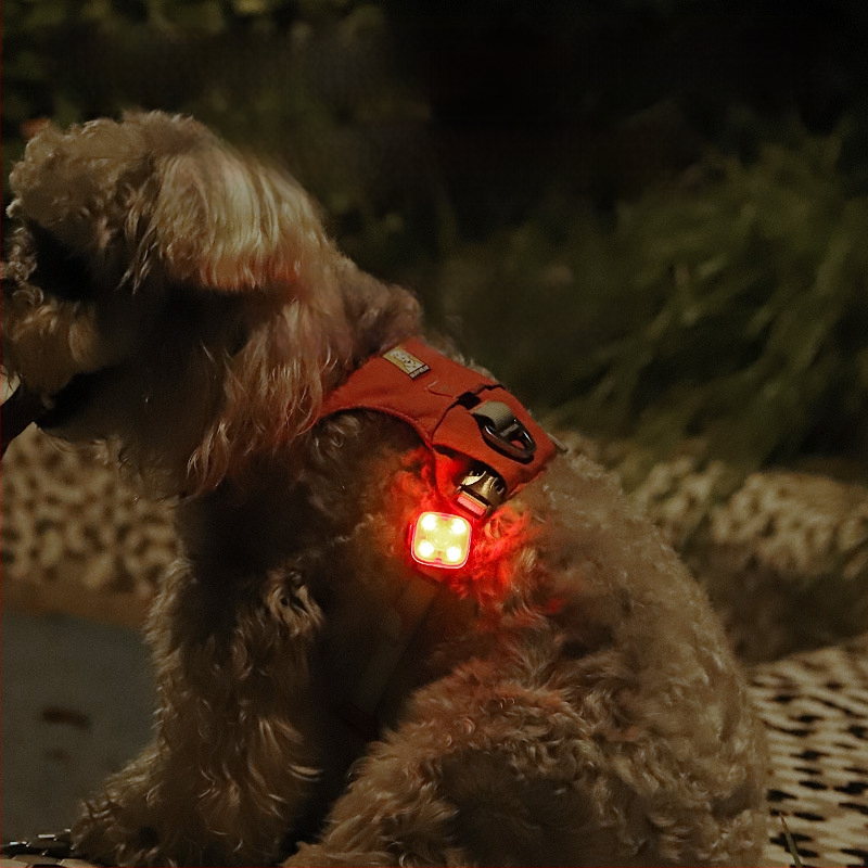 LED suņa kulons ar gaismu — spilgts antizaudēšanas lukturs vakara pastaigām, zīmols Ulas, plastmasa, universāls, IN stils, visu sezonu