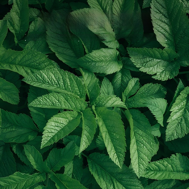 Ratiņu paklājiņš – kokvilnas spilvens zīdaiņiem, 2–3 gadi, pozīcija: zīdainis (Materiāls: Kokvilna; Kategorija: Mat)