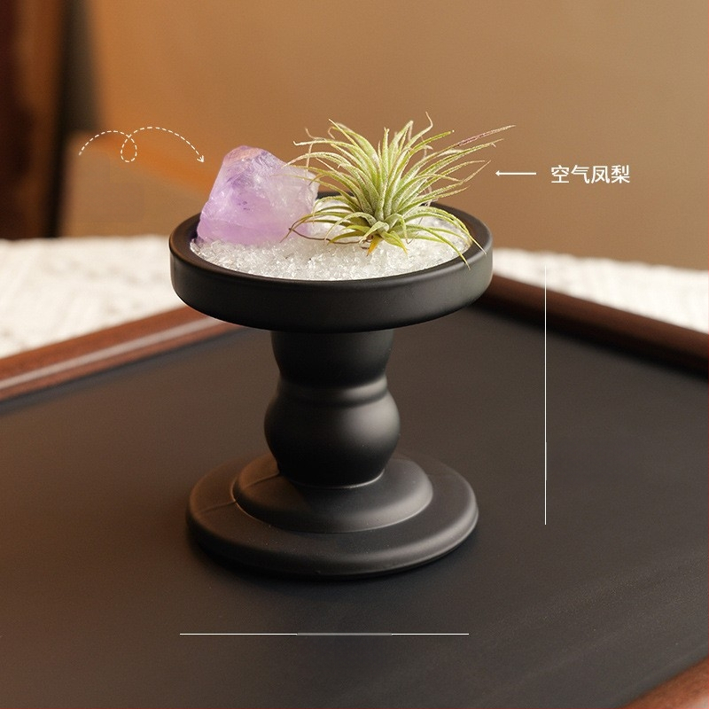 Krištolinio ananaso terariumas su oro augalu, šiuolaikiškas minimalistinis geometrinis dekoras