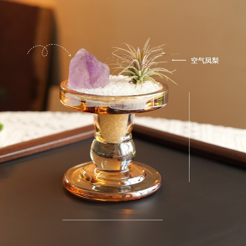 Krištolinio ananaso terariumas su oro augalu, šiuolaikiškas minimalistinis geometrinis dekoras