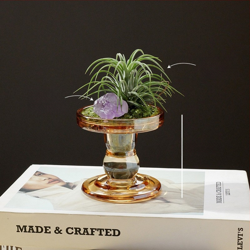 Krištolinio ananaso terariumas su oro augalu, šiuolaikiškas minimalistinis geometrinis dekoras