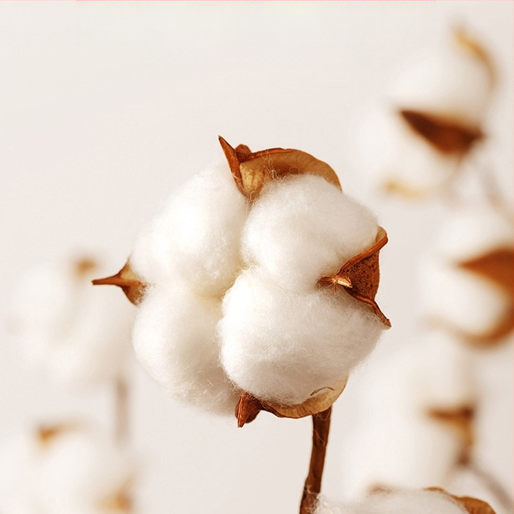 Pagalvės užvalkalas – Šilko gėlių medžiaga, 2 vnt., be pritaikymo