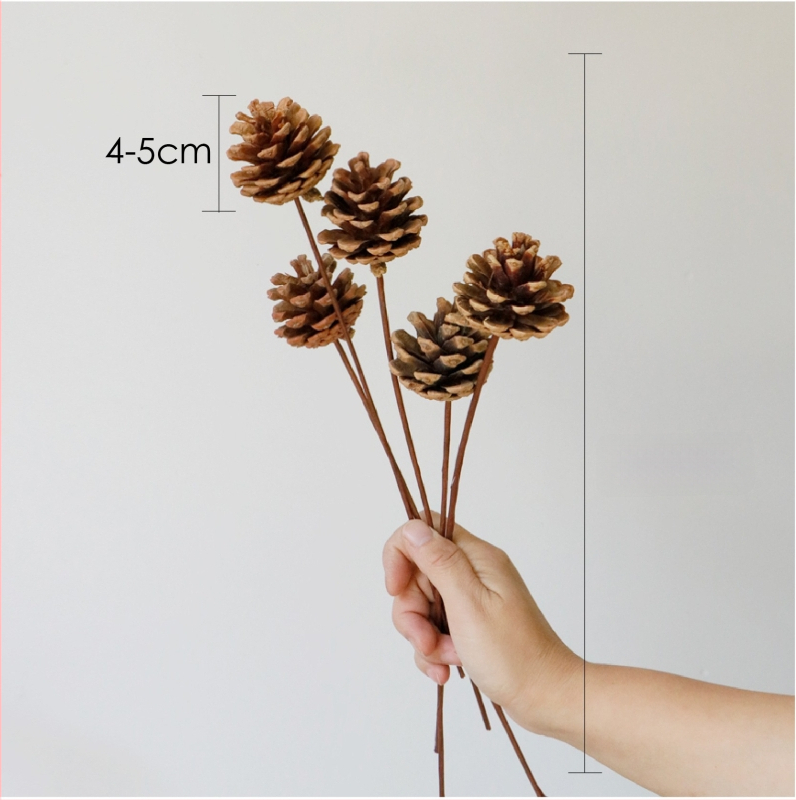 Kuivade lillede kimp, Wabi-Sabi stiil, Forget-me-not sortiment, värvimata, pakendatud Opp kotis