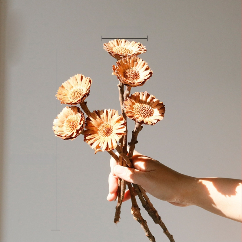 Kuivade lillede kimp, Wabi-Sabi stiil, Forget-me-not sortiment, värvimata, pakendatud Opp kotis