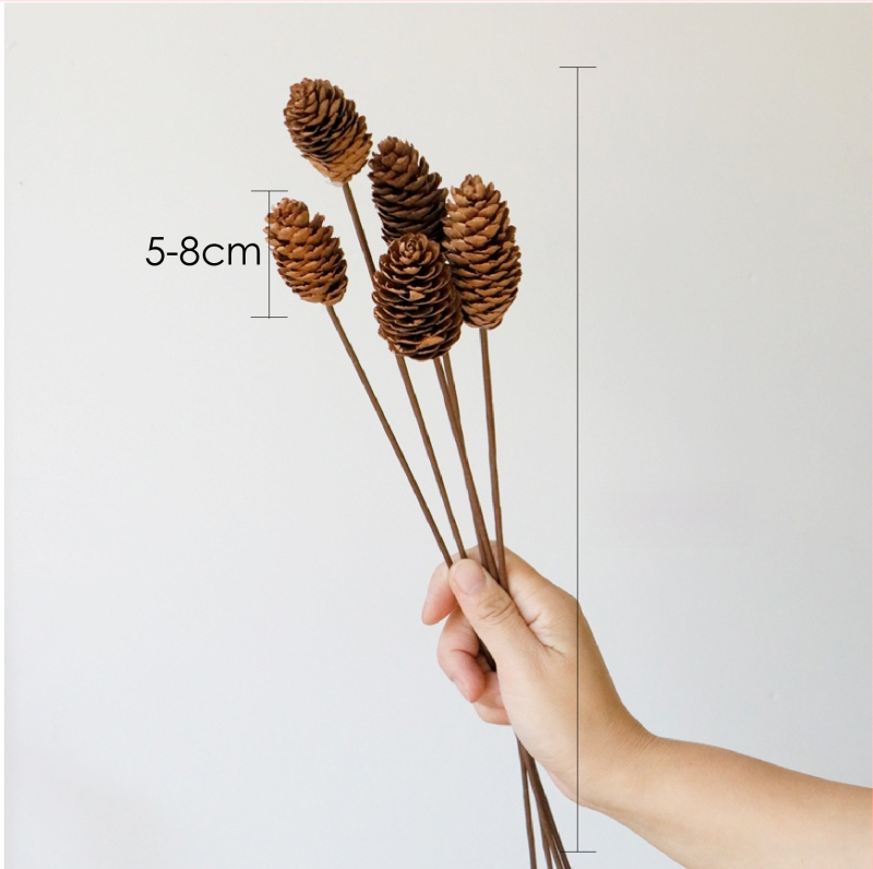 Kuivade lillede kimp, Wabi-Sabi stiil, Forget-me-not sortiment, värvimata, pakendatud Opp kotis