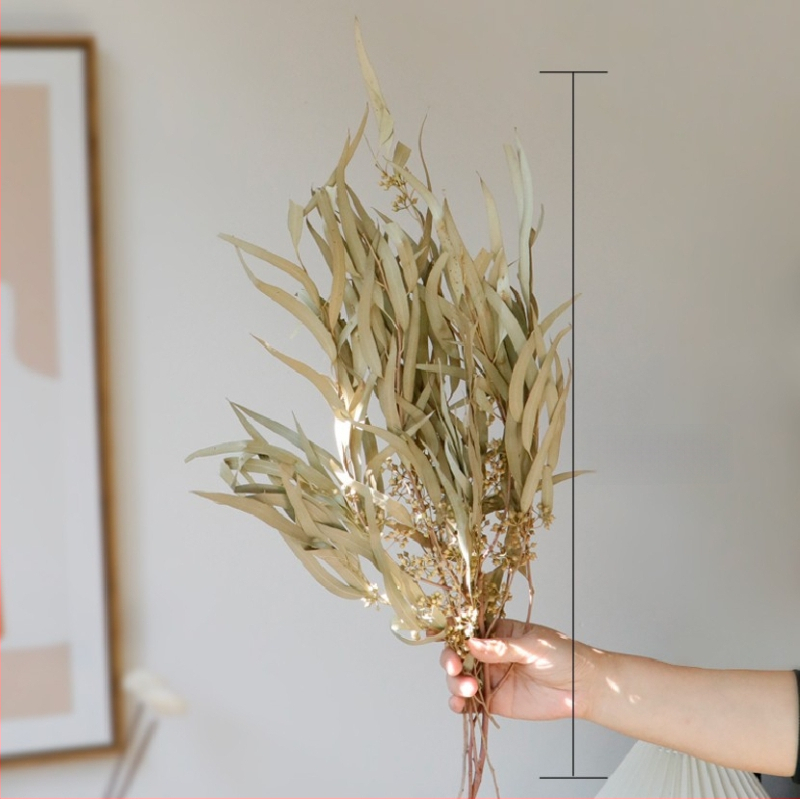 Kuivade lillede kimp, Wabi-Sabi stiil, Forget-me-not sortiment, värvimata, pakendatud Opp kotis